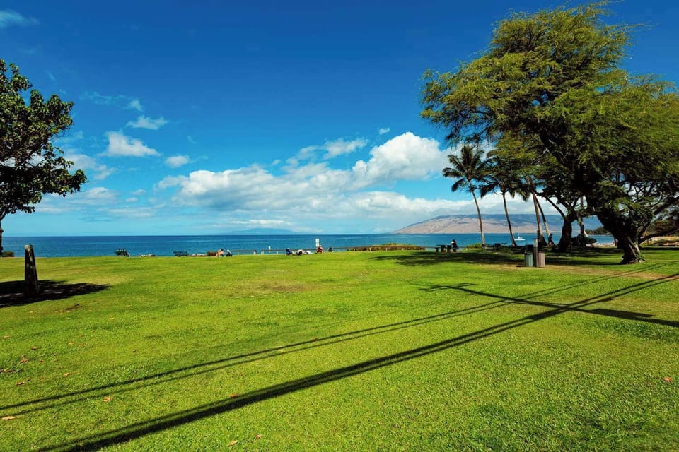 Steps from paradise! Enjoy expansive green lawns leading to the beautiful ocean. Perfect for picnics, play, and stunning sunsets!
