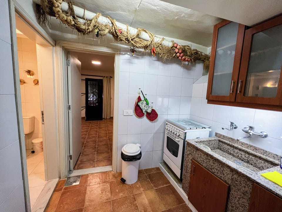 Family Apartment, Garden View | Private kitchen | Fridge, microwave, oven, stovetop
