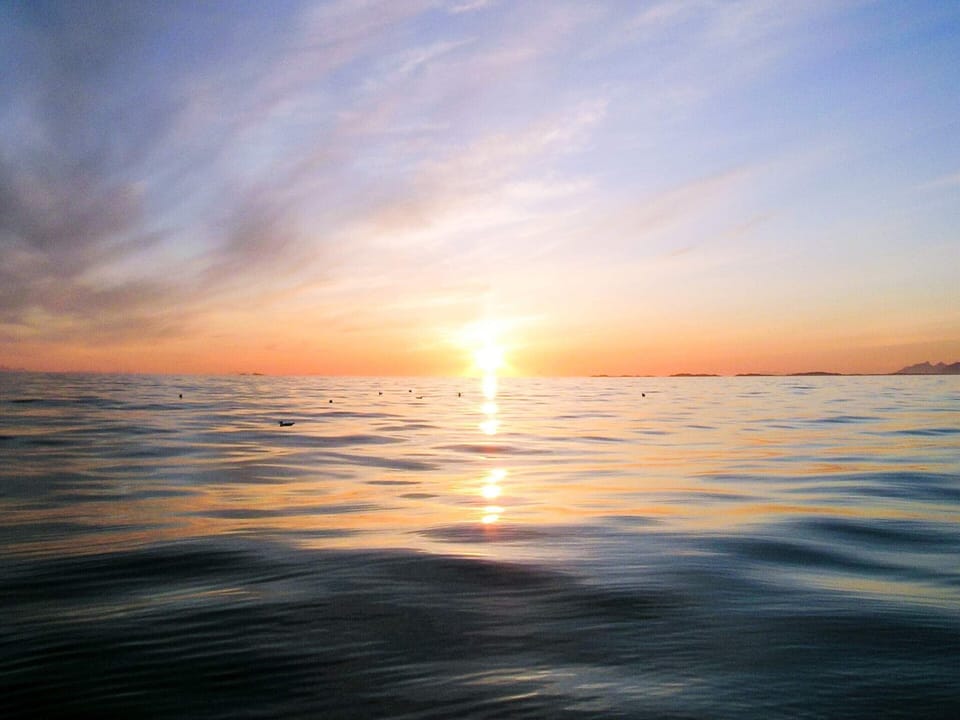 House | Miscellaneous