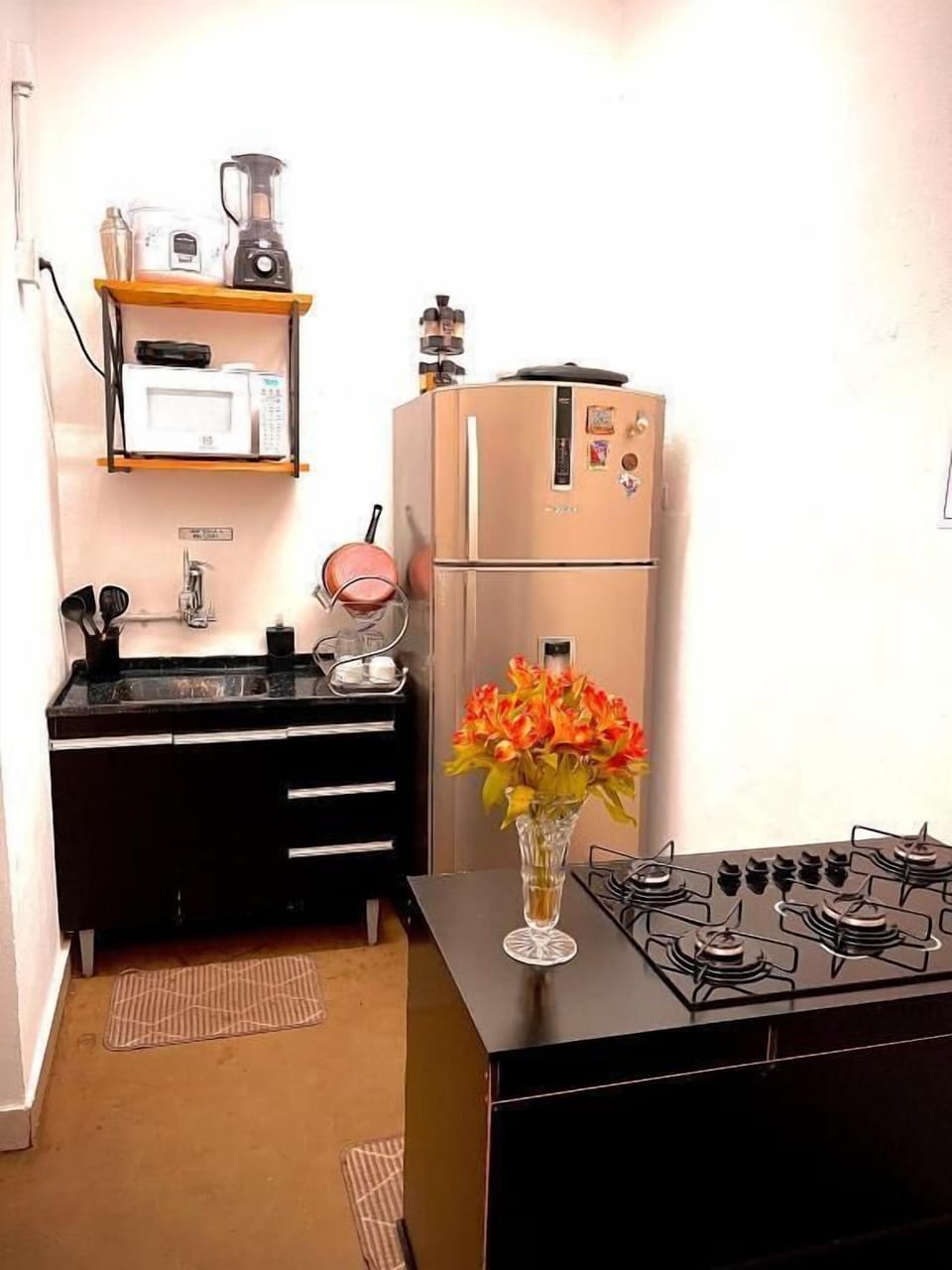 Microwave, oven, cookware/dishes/utensils