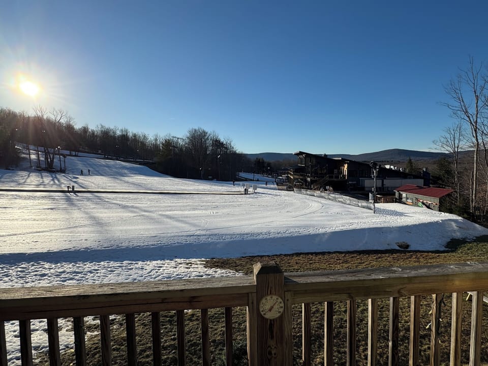 Deck View with Ski Trail from Timberline Resort