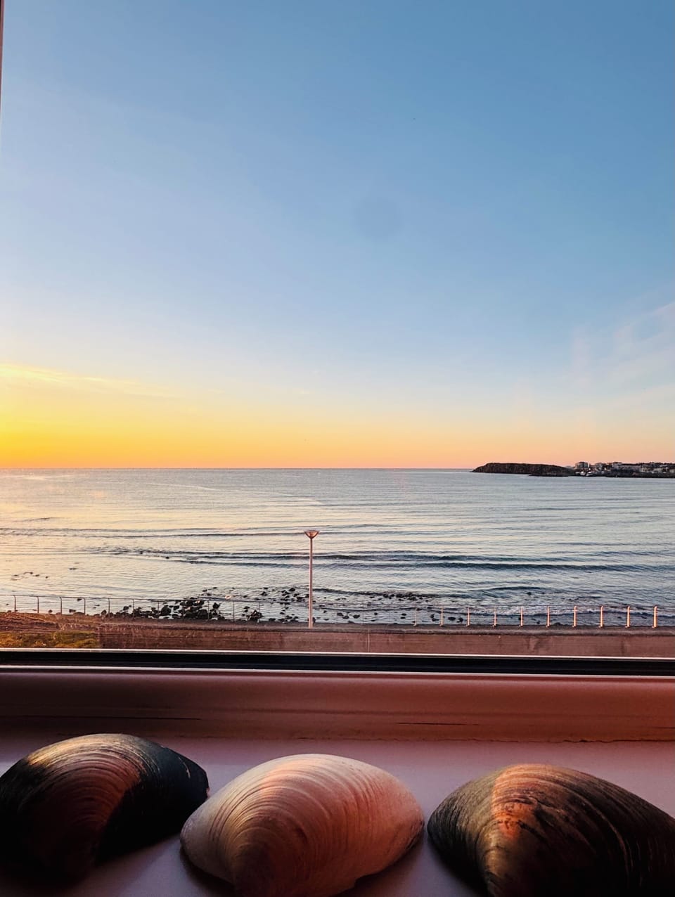 Beach/ocean view