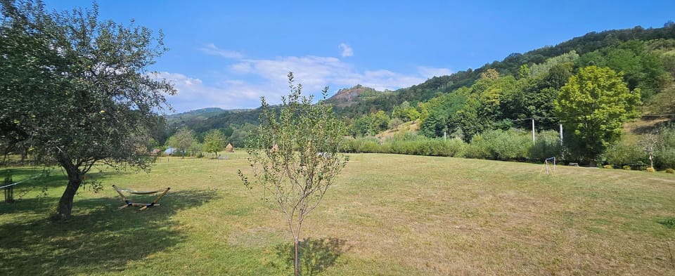Miscellaneous