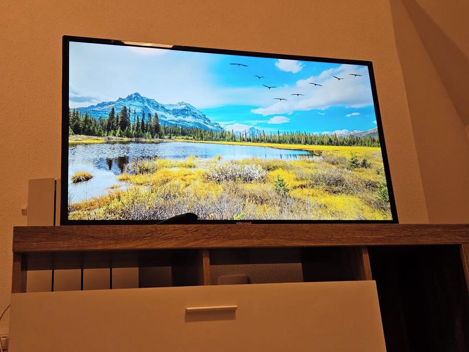 Television