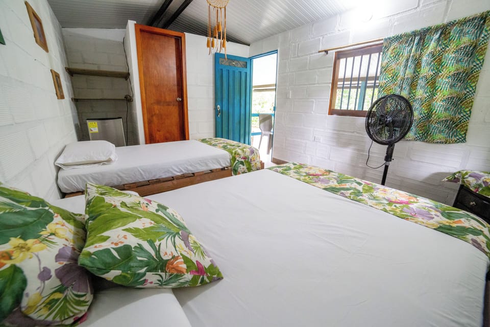 Basic Double or Twin Room, Garden View | Free WiFi