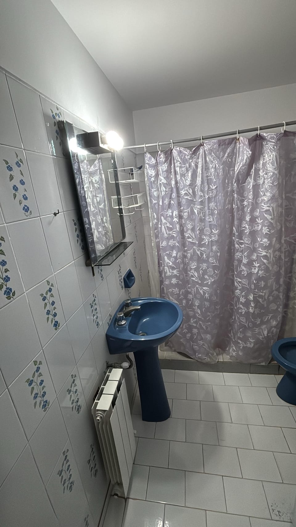 Traditional Room | Bathroom | Shower, towels, soap, shampoo