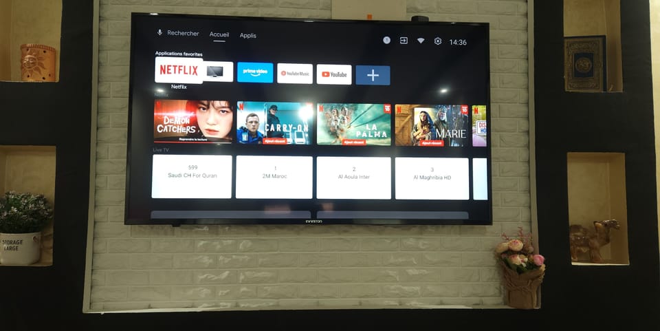 Television