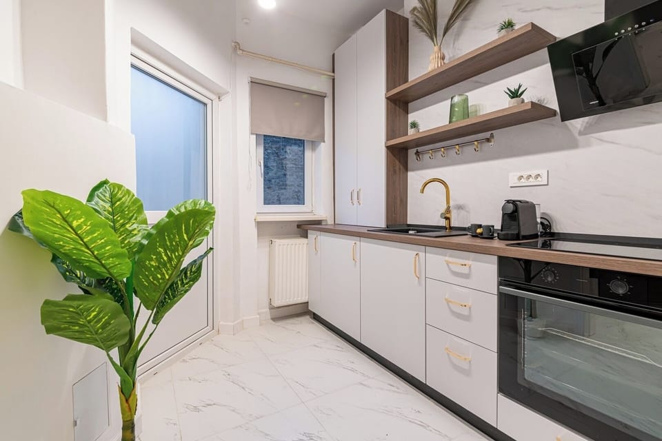 Spacious open-space kitchen equipped with induction cooktop, oven, espresso machine, hood, fridge with freezer