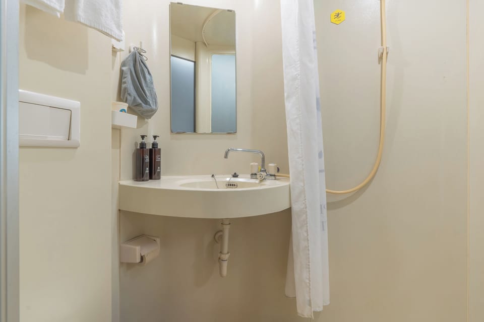 Economy Double Room Single Use | Bathroom | Shower, hair dryer, towels, shampoo