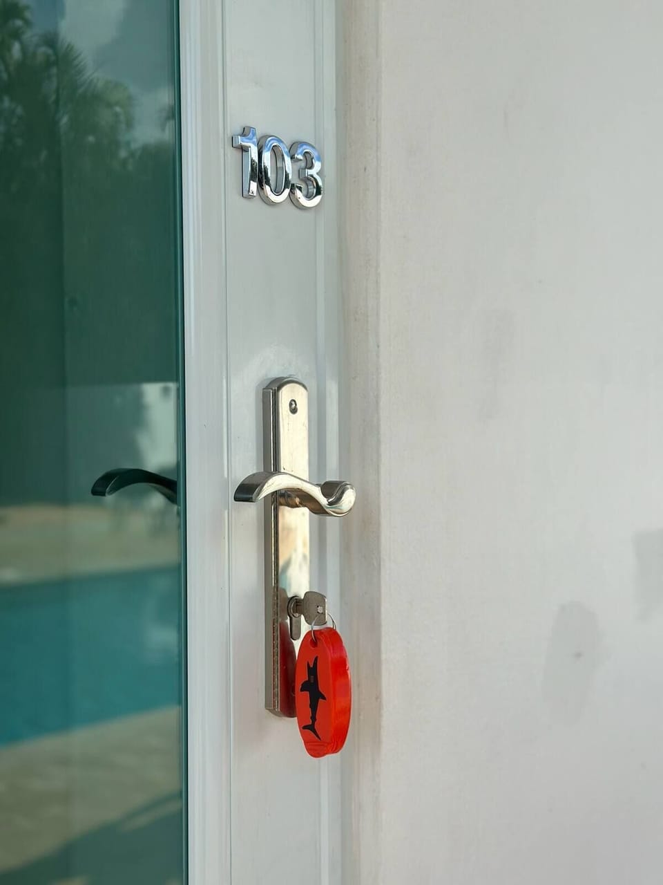 Door