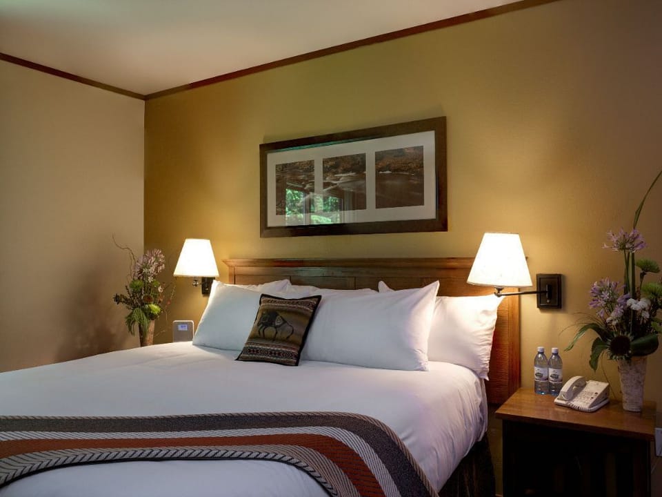 A peaceful retreat with a plush bed and warm decor, creating a soothing and restful atmosphere.