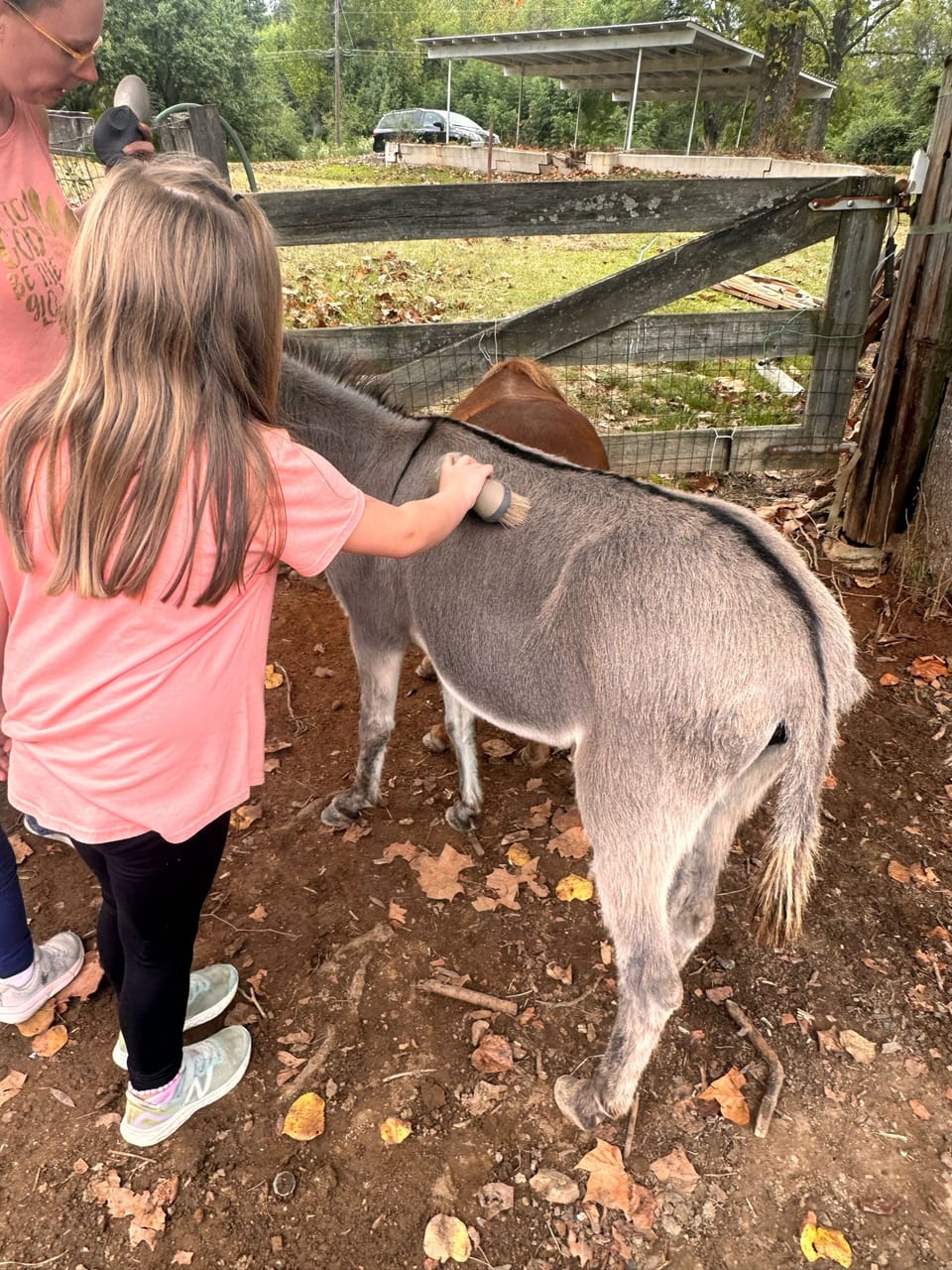Petting & feeding the animals is part of your stay!