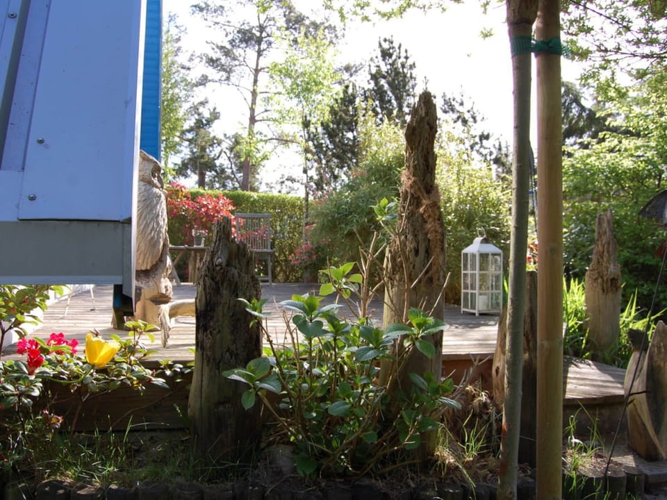 House | Property grounds