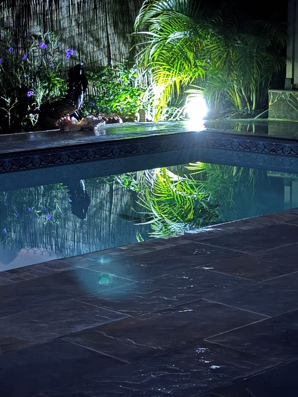 piscine privée le soir
