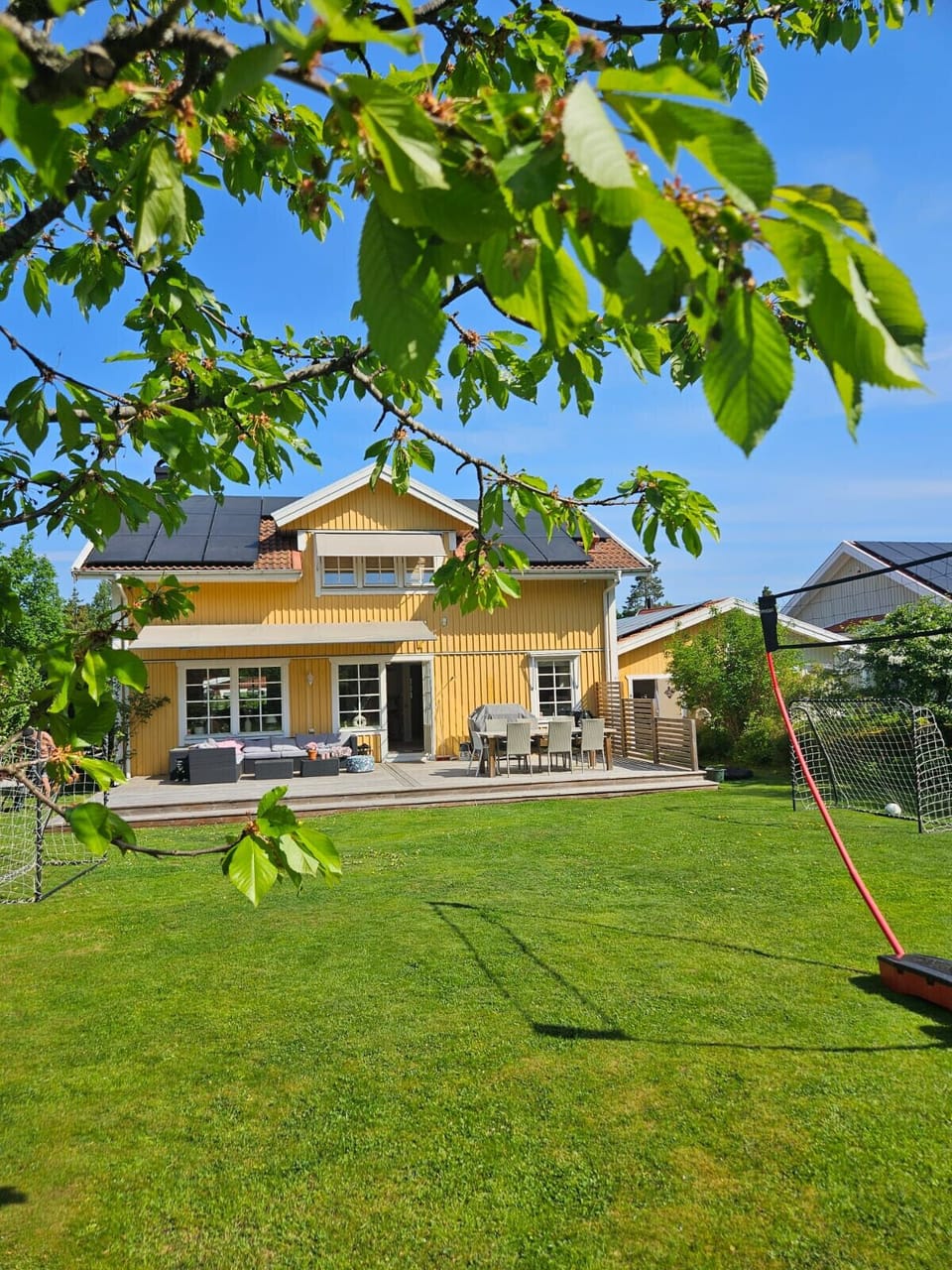 Large lawn