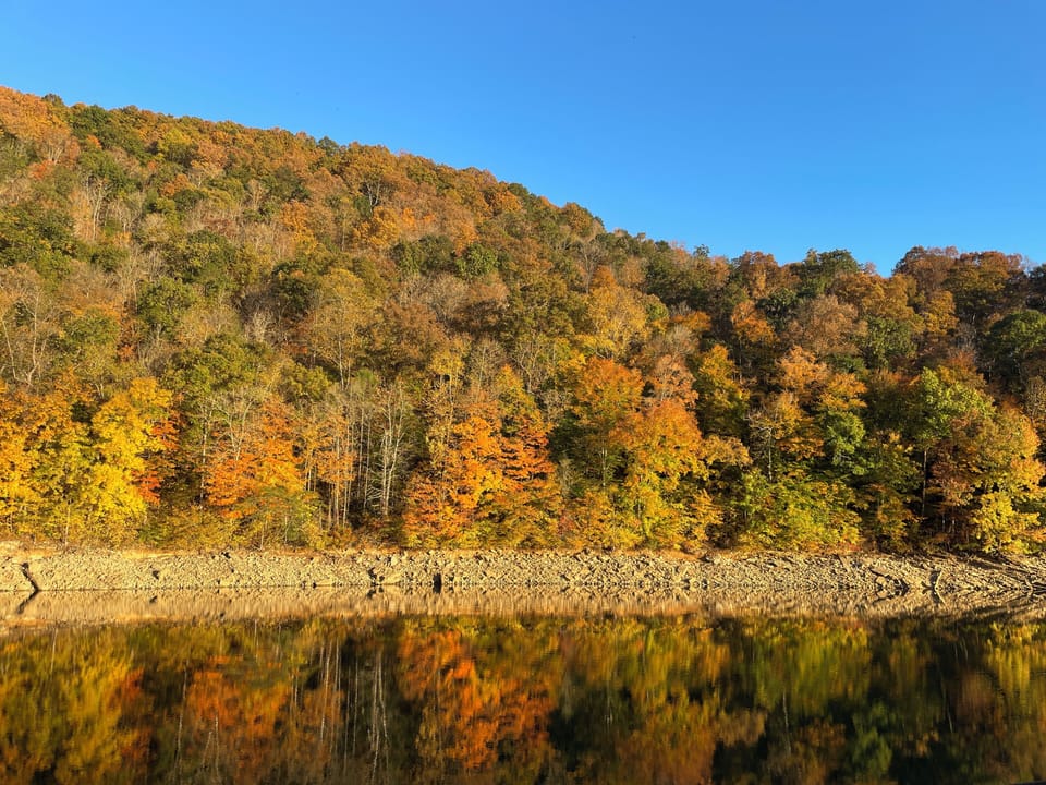 Enjoy the beauty of Norris Lake from our dock in all 4 seasons. The colors are spectacular!