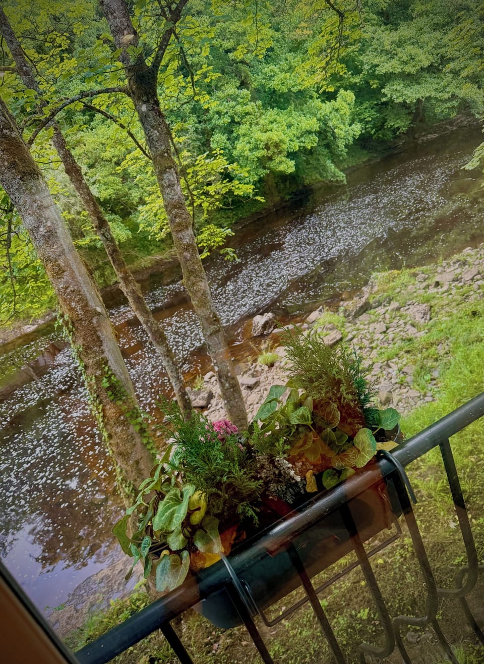 View from property