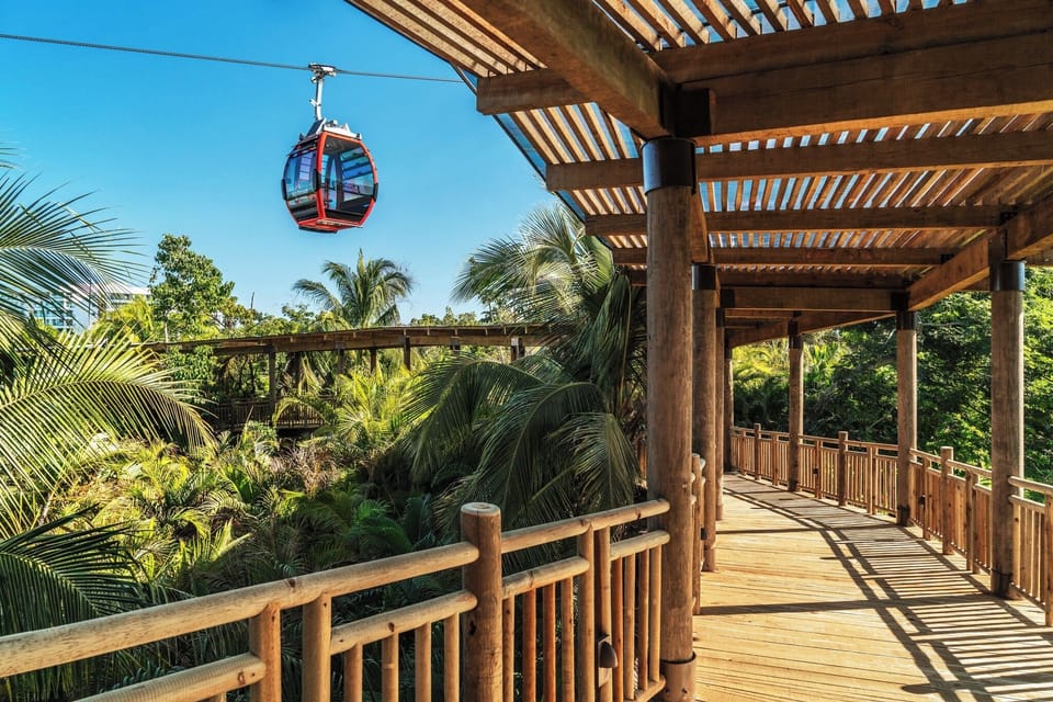Easy Access Gondola