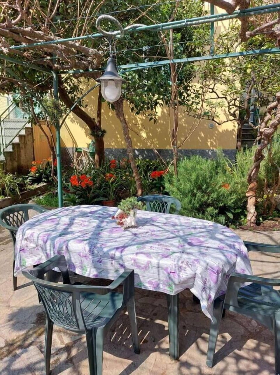 Autumn, Garden, Spring, Summer