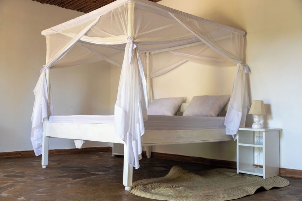 Family Double Room, Patio, Pool View | Desk, laptop workspace, free WiFi