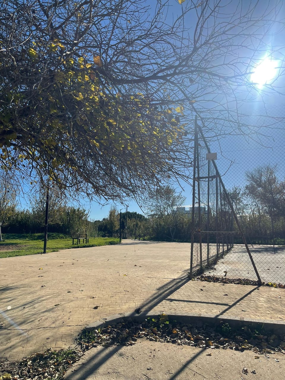 Sport court