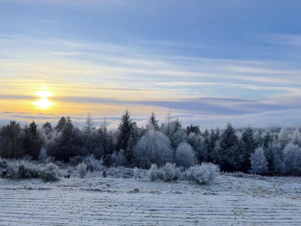 Surrounding area | The Carnegie Rooms at Aultnagar Lodge - Country House Holidays, Lairg