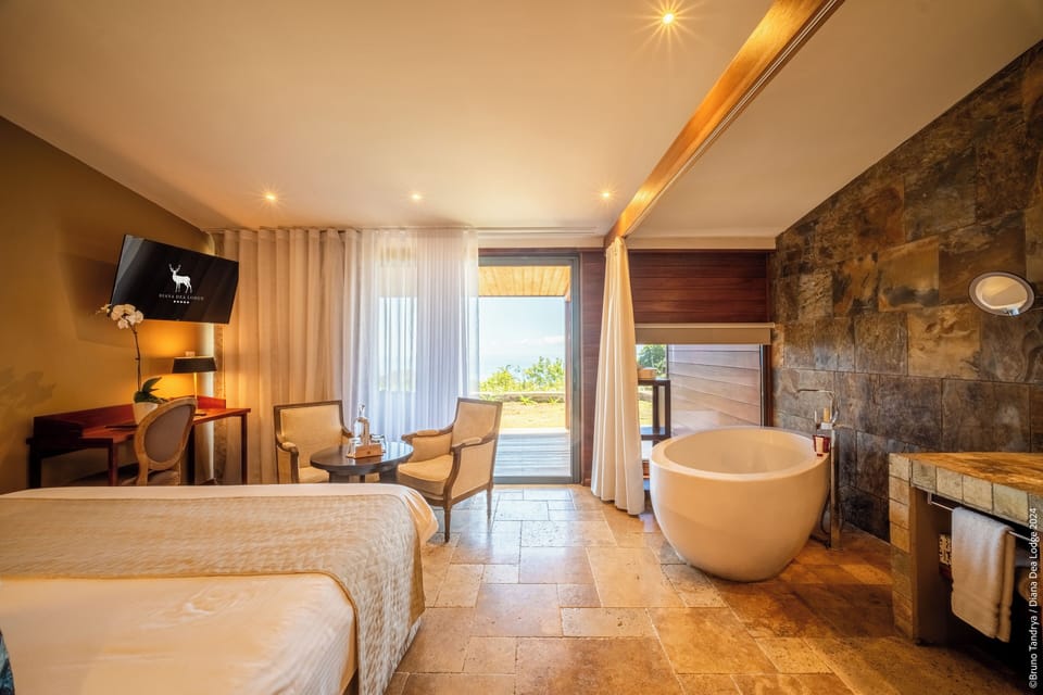 Premium Room | Minibar, in-room safe, individually decorated, individually furnished