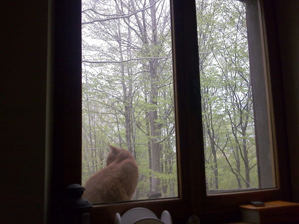 Che vista!!