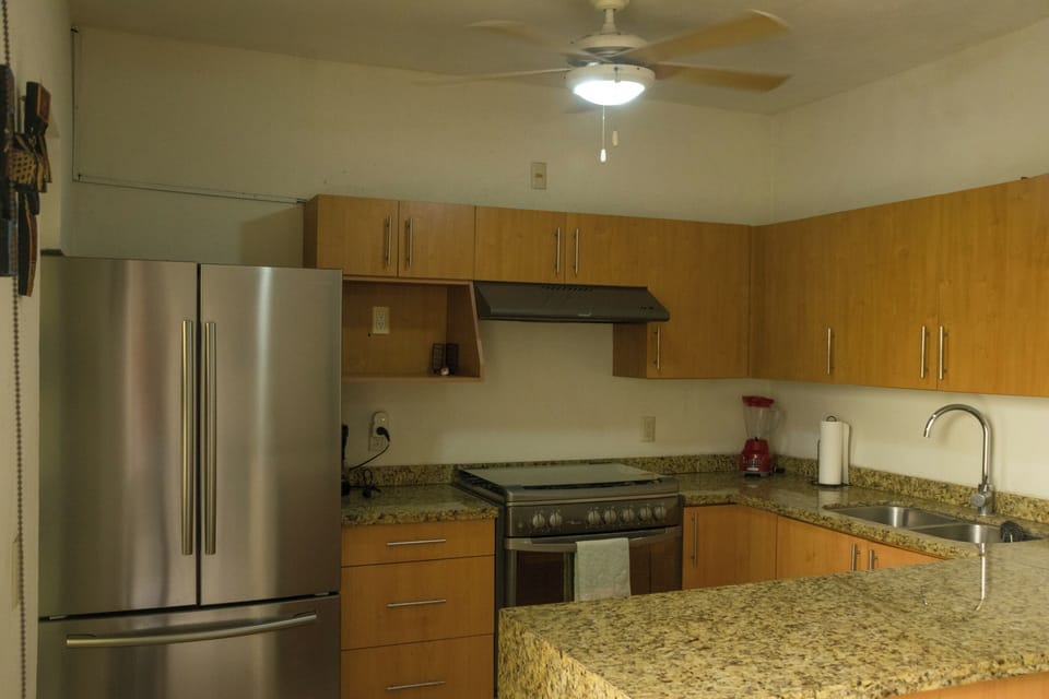 Family House, Patio | Private kitchen