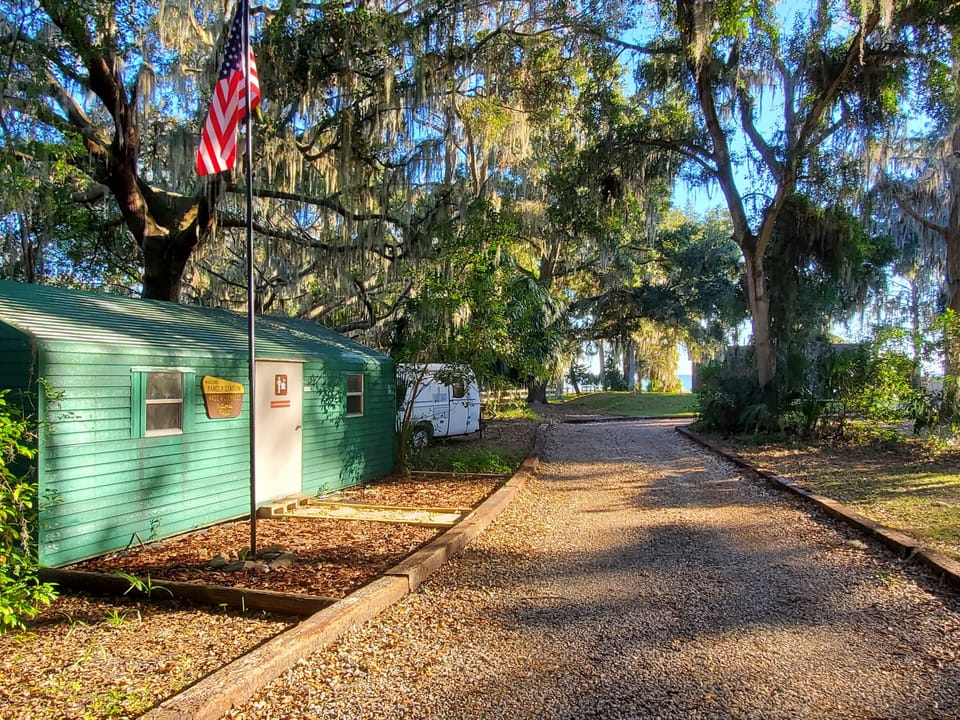 Magic Wilderness Forest Entrance