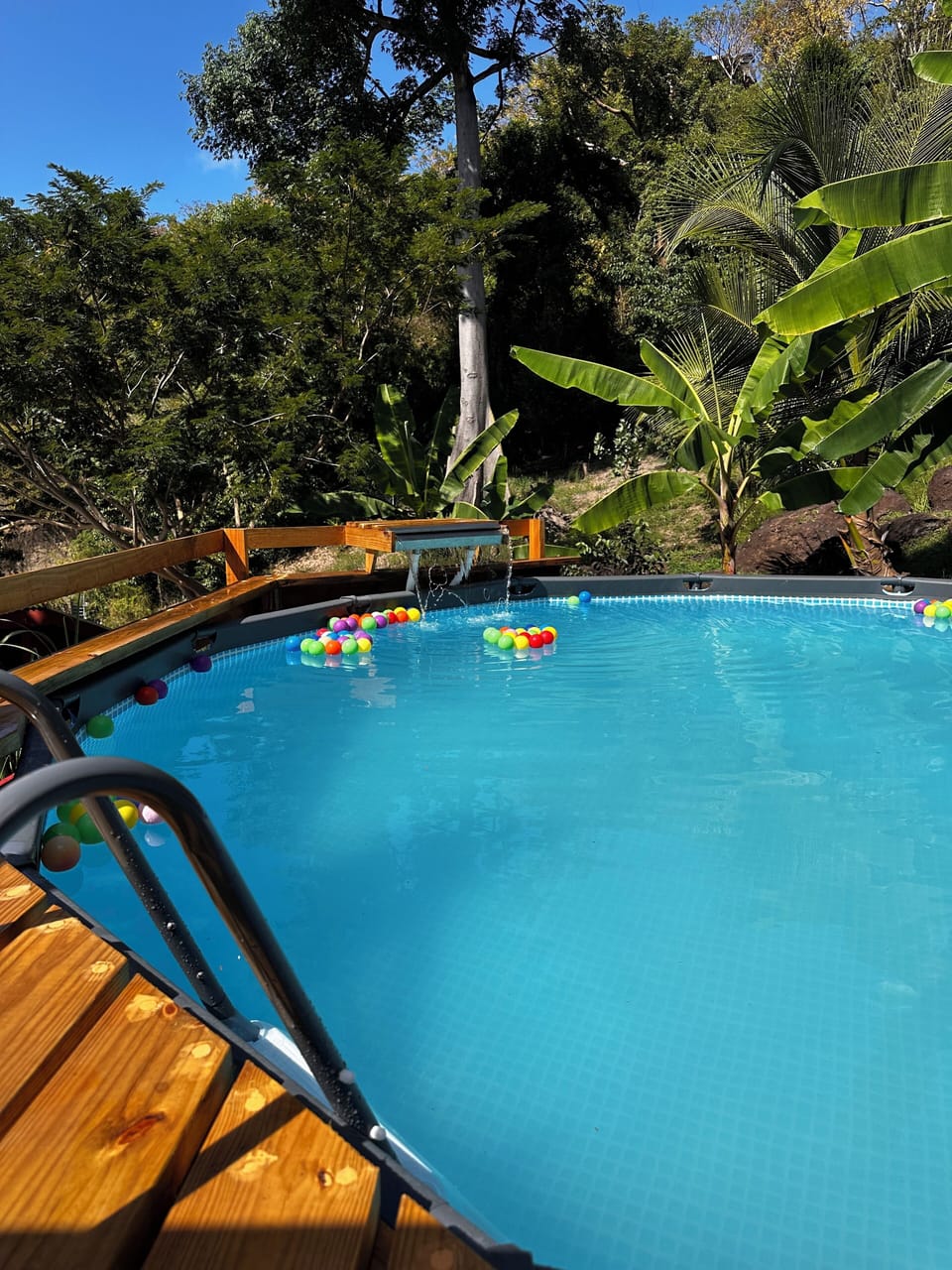 The Secret Garden - Glamping Grenada Bed and Breakfast in Saint George