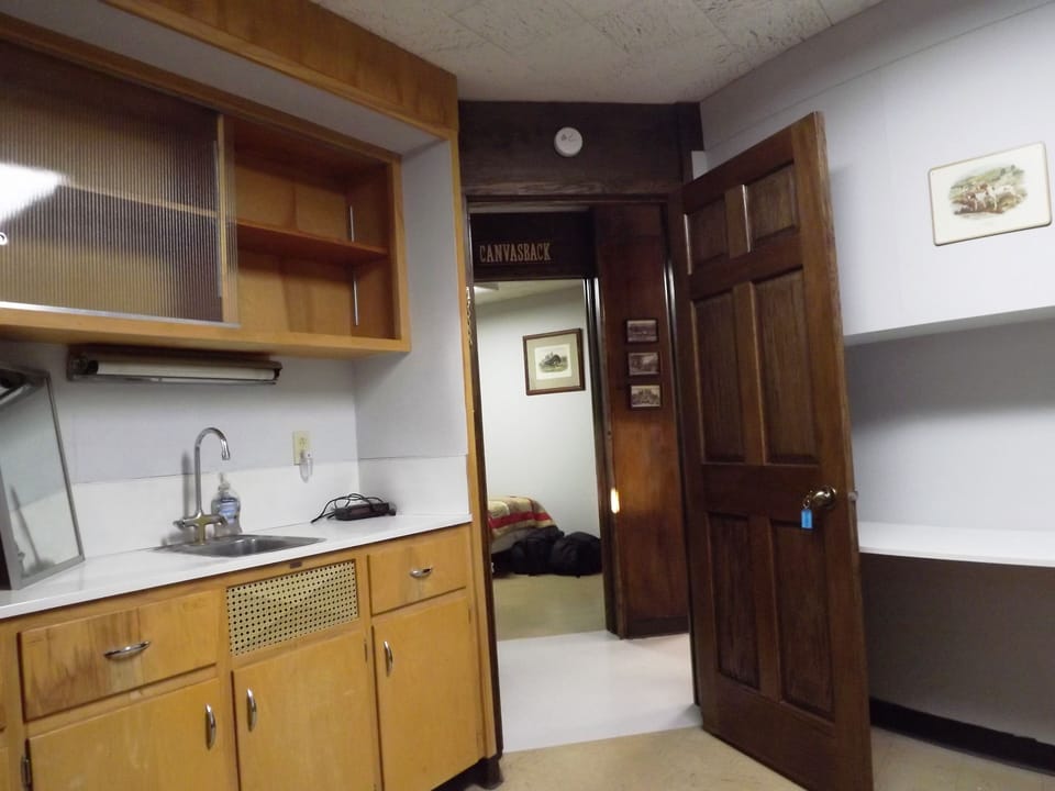 Bedroom with twin bed and personal sink and faucet.