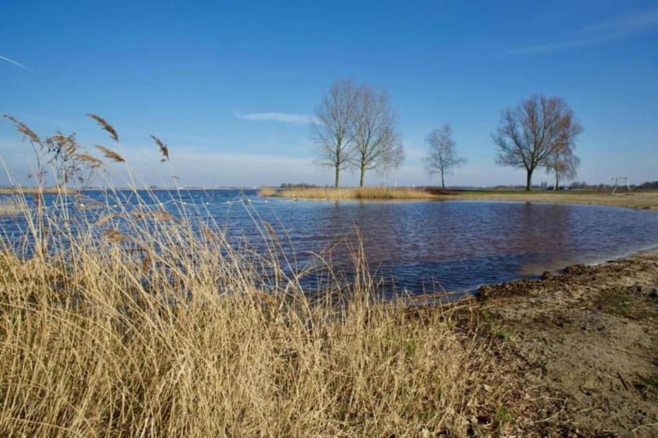 Region [summer] (>5 km)