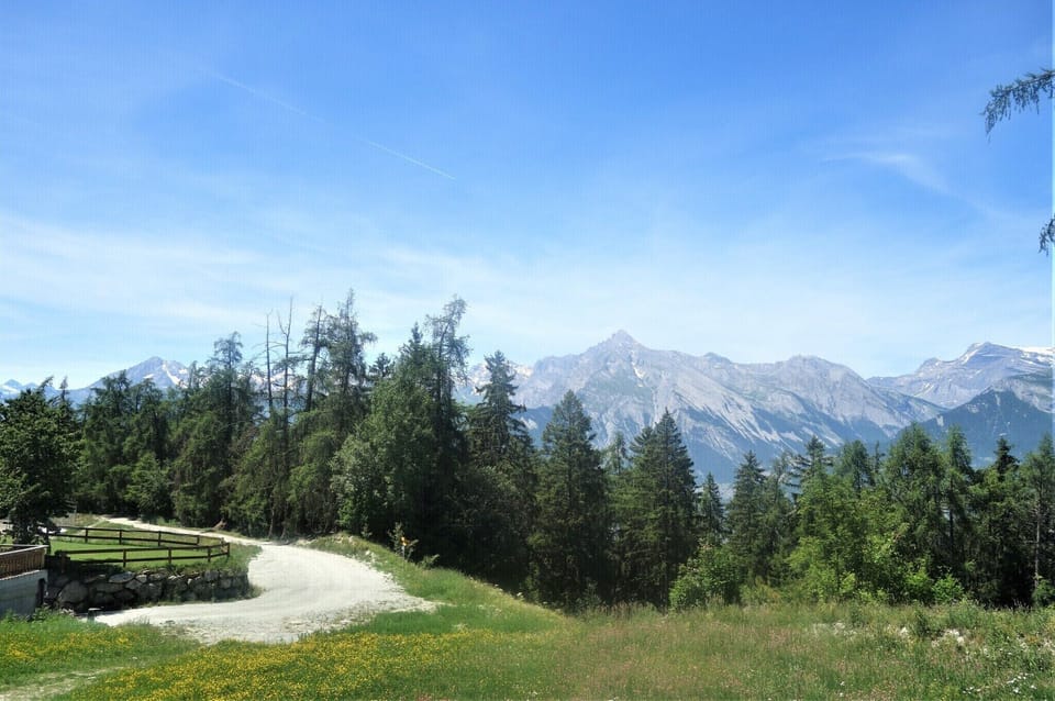 Immediate Surroundings [summer] (<1 km)