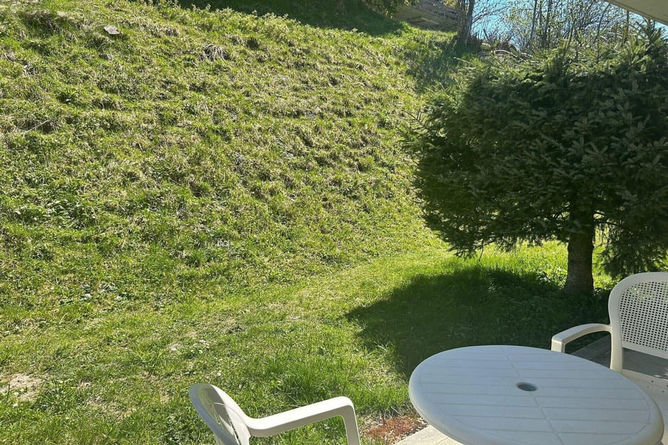 Garden [summer]