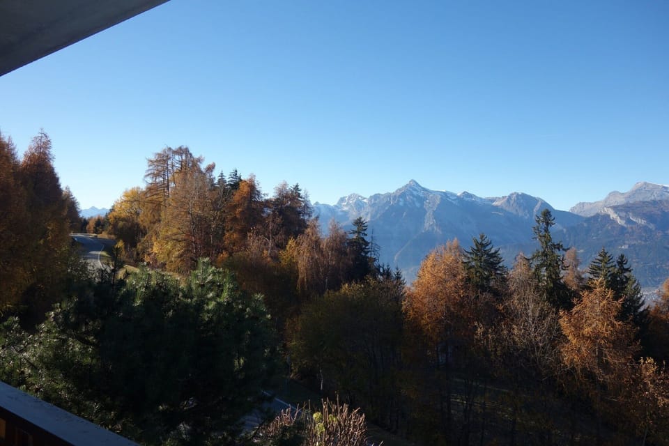 View from Holiday Home [summer]