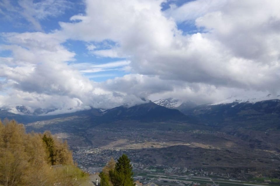 Region [summer] (>5 km)