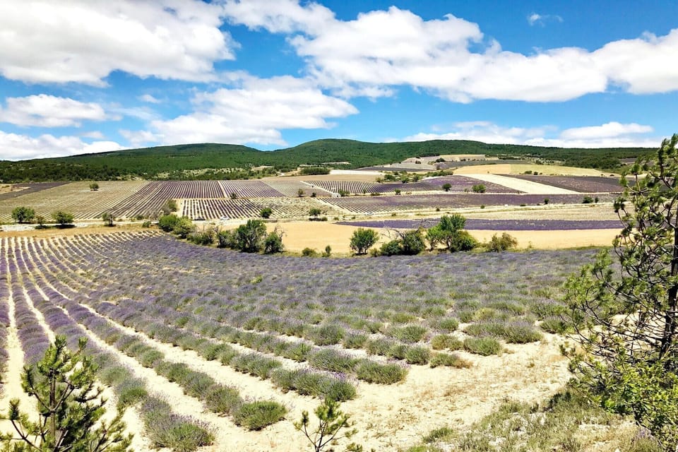 Surroundings [summer] (1-5 km)