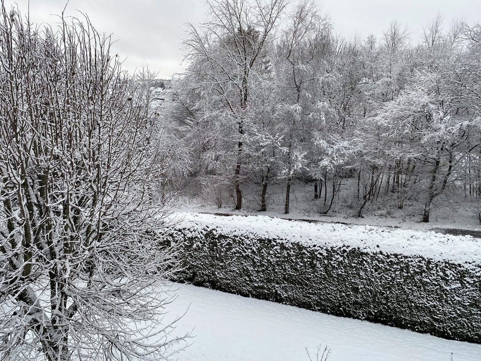 Miscellaneous