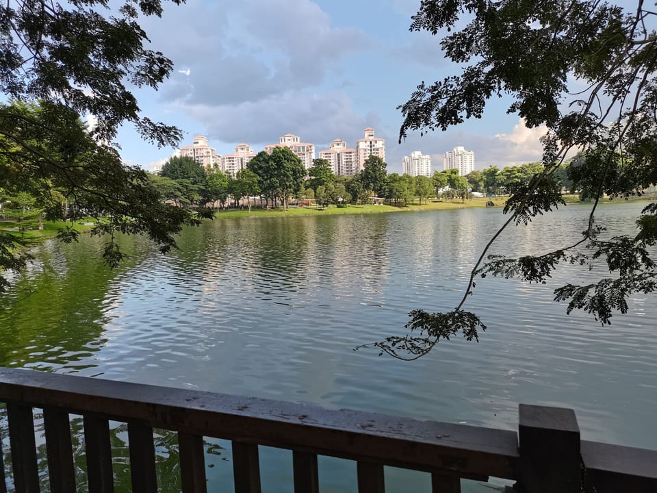 Lake view