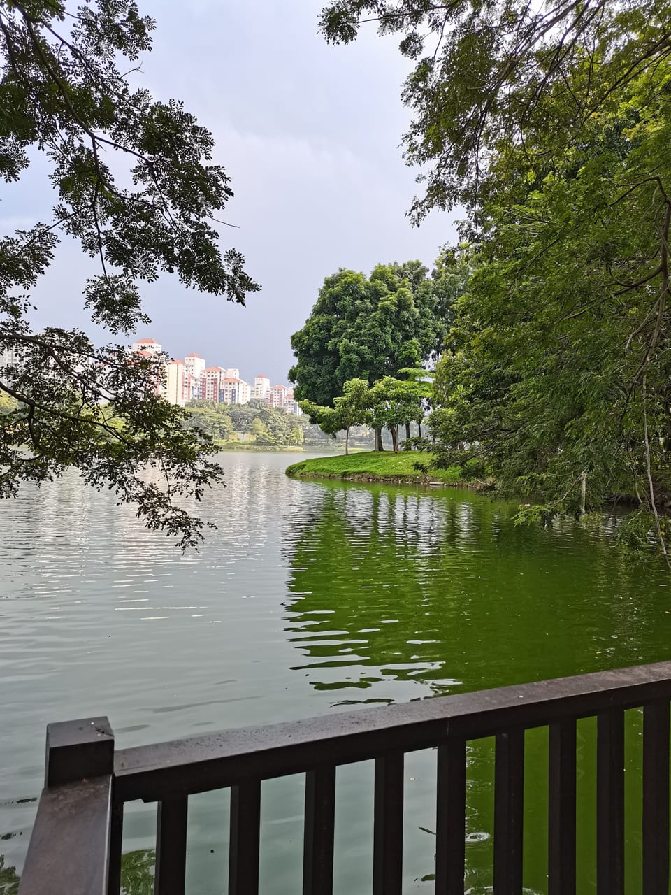 Lake view