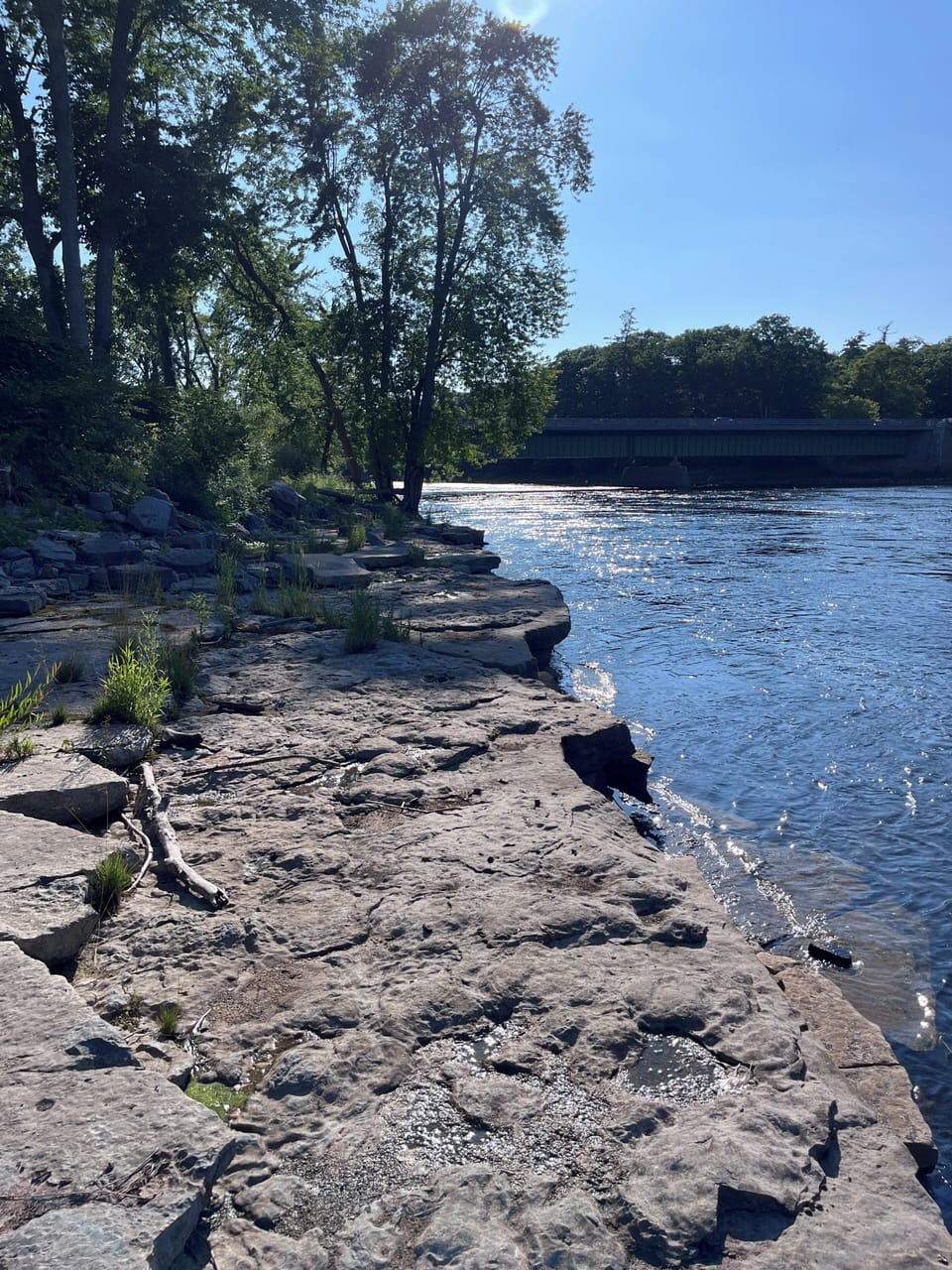 View Downstream from the stone beach.