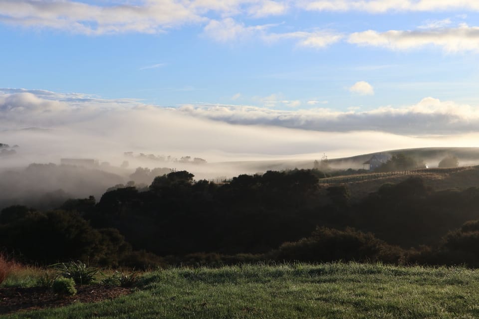 View from the deck