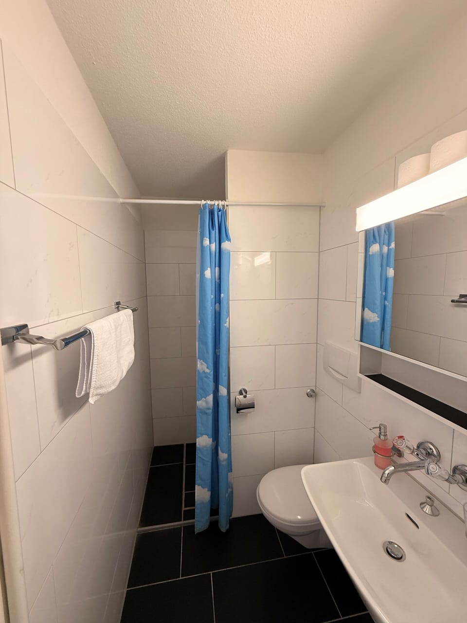 Basic Double Room | Bathroom | Shower, hair dryer, towels, soap
