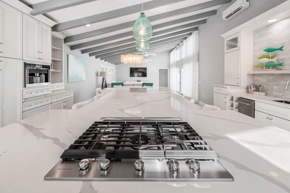 Gas burner stove
