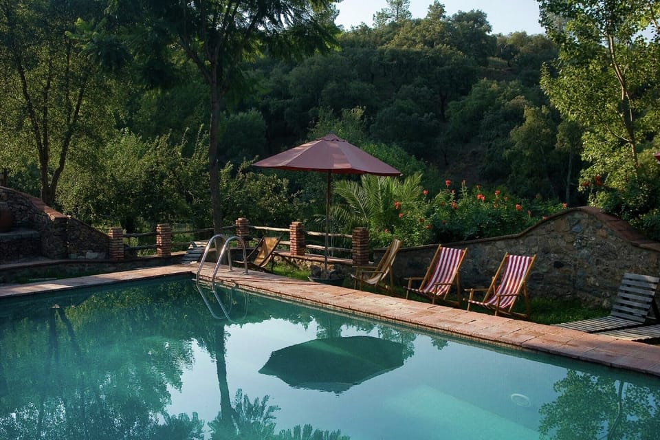 Holiday Home Swimming Pool