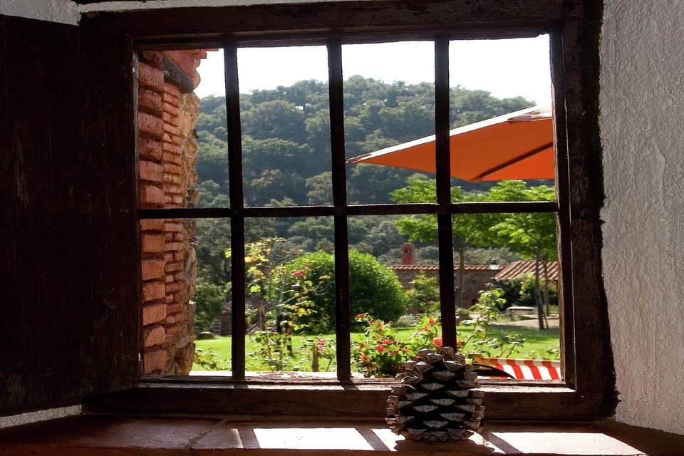 View from Holiday Home [summer]