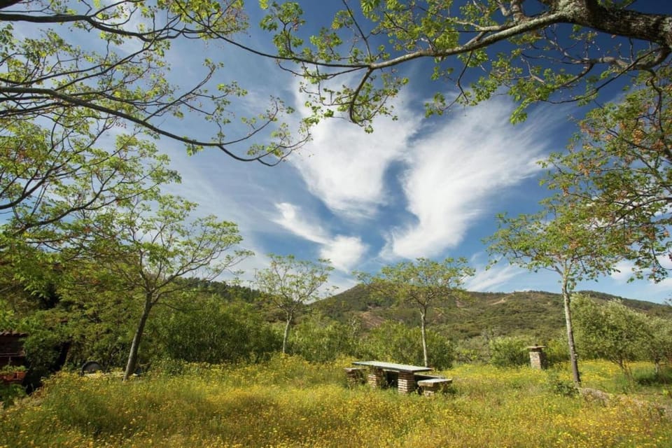 Surroundings [summer] (1-5 km)