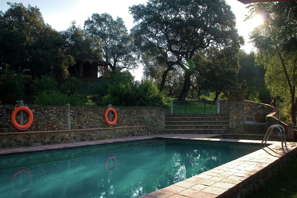Holiday Home Swimming Pool