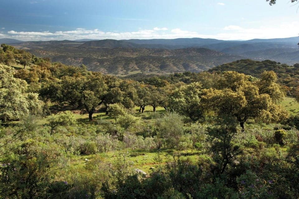 Surroundings [summer] (1-5 km)